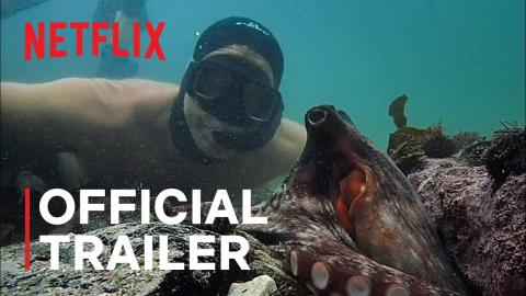 My Octopus Teacher | Official Trailer | Netflix