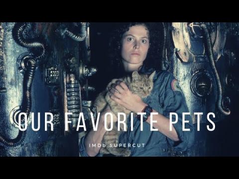 Our Favorite Pets | IMDb Supercut