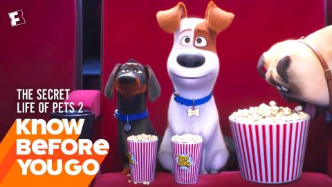 Know Before You Go: The Secret Life of Pets 2 | Movieclips Trailers