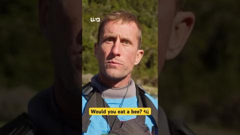 Would you eat a bee to survive? ???? #RaceToSurvive #bees