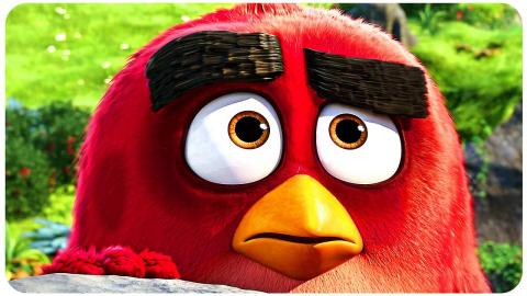 ANGRY BIRDS Funniest Scenes 4K ᴴᴰ