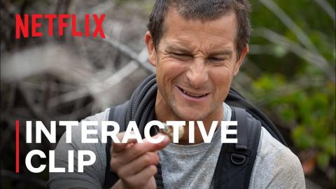 Animals on the Loose: A You vs. Wild Interactive Movie | Now Streaming | Netflix