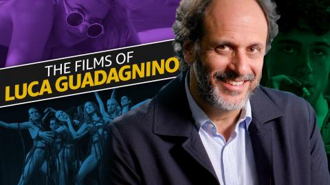 Director's Trademarks: A Guide to the Films of Luca Guadagnino