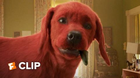 Clifford the Big Red Dog Movie Clip - Hiding Clifford (2021) | Movieclips Coming Soon