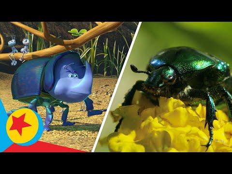 A Bug's Life Real Life Side-by-Side | Pixar