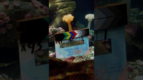 that's a wrap on Remarkably Bright Creatures ????