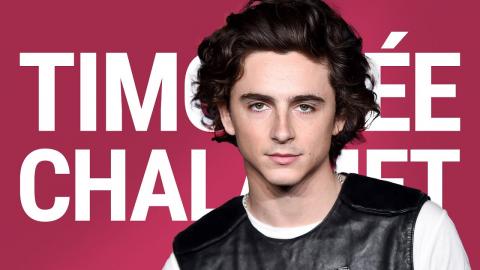 The Rise of Timothée Chalamet