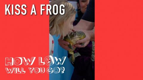 How Low Will You Go | How Much Money Would You Kiss This Frog For? | S1 Ep3 | on USA Network