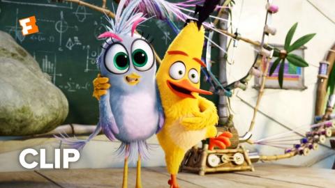The Angry Birds Movie 2 Movie Clip - Sup Sis (2019) | Movieclips Coming Soon