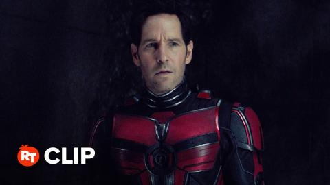Ant-Man and The Wasp: Quantumania Movie Clip - I'm an Avenger (2023)