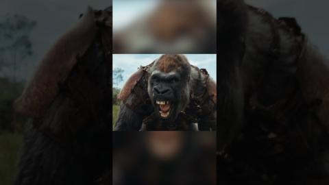 NEW 'Kingdom of the Planet of the Apes' Trailer