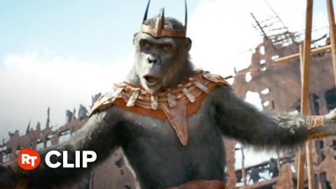 Kingdom of the Planet of the Apes Movie Clip - What a Wonderful Day (2024)