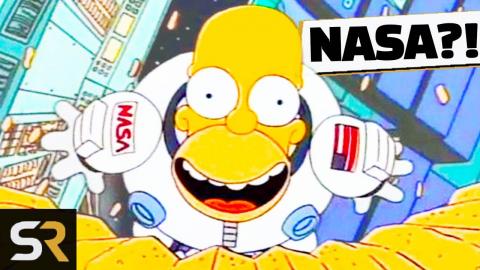 Homer Simpson's Jobs Ranked From Worst To Best