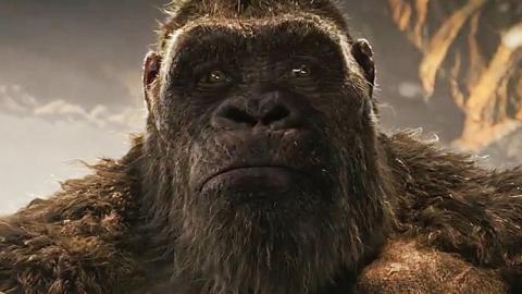 Characters In Godzilla Vs. Kong With More Meaning Than You Think