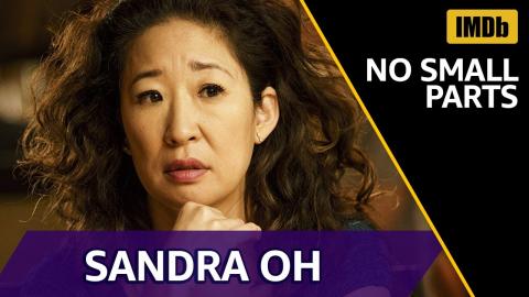 Sandra Oh Roles Before Killing Eve | IMDb NO SMALL PARTS
