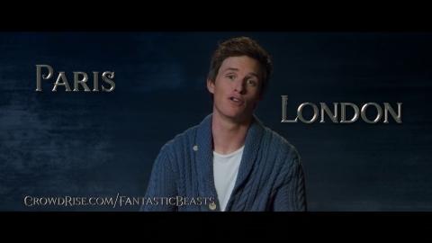 Lumos Sweepstakes - New Fantastic Beasts Prize Announcement