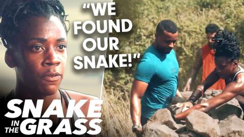 Alysia Is Convinced That Sean Is Sabotaging the Challenge | Snake in the Grass (S1 E1) | USA Network