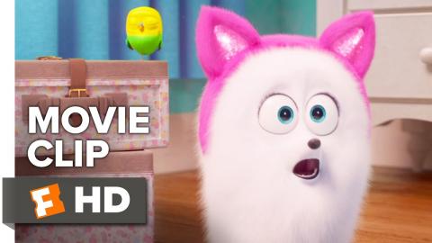 The Secret Life of Pets 2 Movie Clip - Gidget Gets Lessons (2019) | Movieclips Coming Soon