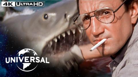 Jaws | "You’re Going To Need a Bigger Boat" | Shark Attacks Chief Brody in 4K HDR