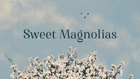 Sweet Magnolias : Season 1 - Official Opening Credits / Intro (Netflix' Series) (2020)