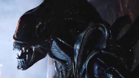 Ridley Scott's Reaction To New Alien Movie Revealed By Director