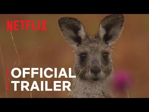 Kangaroo Valley | Official Trailer | Netflix