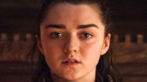 The Stunning Arya Romance Scene From GoT Explained