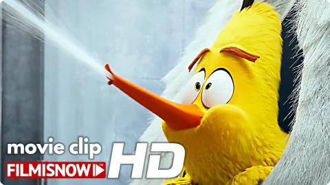 THE ANGRY BIRDS MOVIE 2 Clip "Key Card" (2019) | Jason Sudeikis Animated Movie