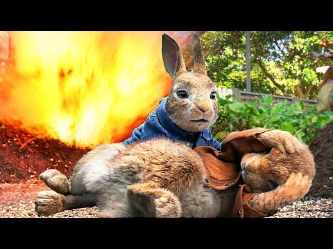 PETER RABBIT Funny Scenes Compilation (Ultra HD 4K)