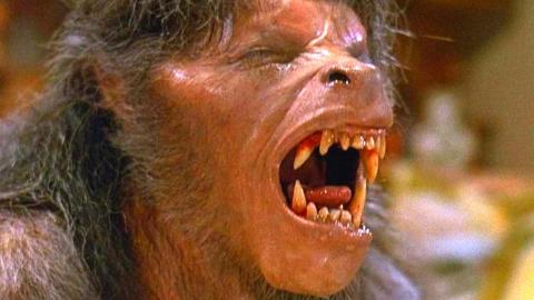 The Untold Truth Of An American Werewolf In London