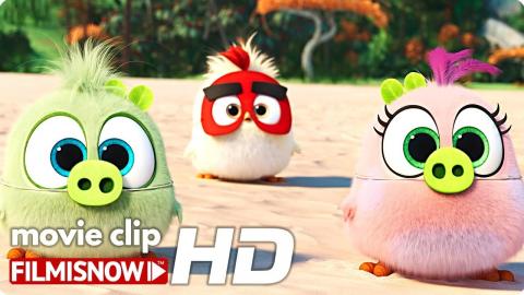 THE ANGRY BIRDS 2 Clip "Hatchling Eggs" (2019) | Josh Gad Animated Movie