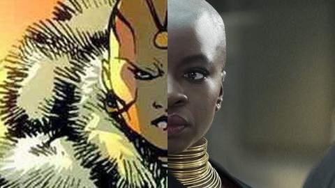 How The Cast Of Black Panther Should Actually Look
