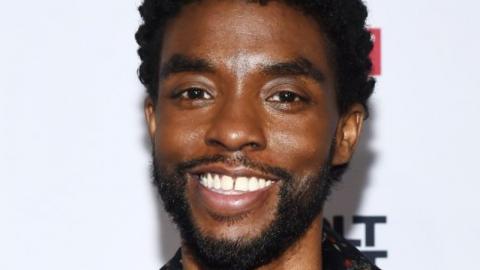 The New Chadwick Boseman Project That Had Just Been Announced