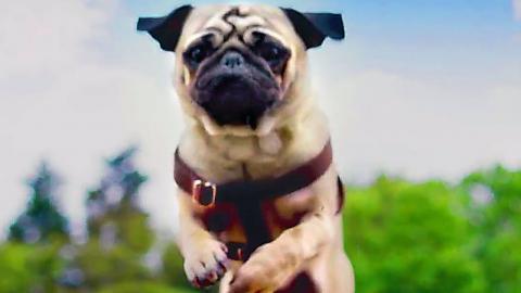 PATRICK Trailer (2018) Kids & Family, Dog Movie