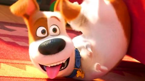 THE SECRET LIFE OF PETS 2 Trailer (Animation, 2019)