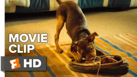 A Dog's Way Home Movie Clip - It was Love (2018) | Movieclips Coming Soon