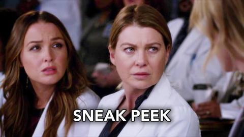 Grey's Anatomy 14x20 Sneak Peek "Judgment Day" (HD) Season 14 Episode 20 Sneak Peek