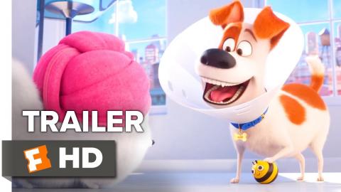 The Secret Life of Pets 2 Trailer (2019) | 'The Busy Bee' | Movieclips Trailers