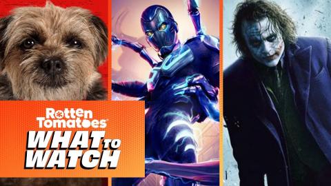 What to Watch: Blue Beetle, Will Ferrell & Jamie Foxx Transform Into Dogs, RT25 Critics Pick, & More