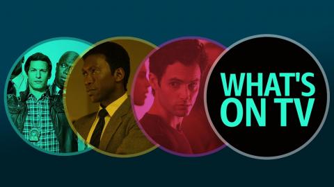 IMDb's "What's on TV": "Brooklyn Nine-Nine," "You" and "True Detective"