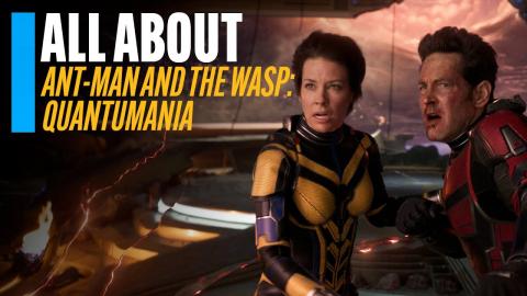 All About 'Ant-Man and the Wasp: Quantumania'