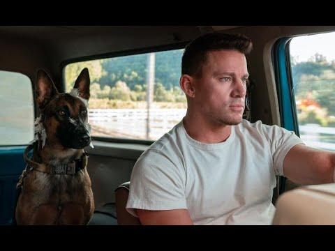 Behind the Scenes with Channing Tatum and the Dogs of 'Dog' (2022)
