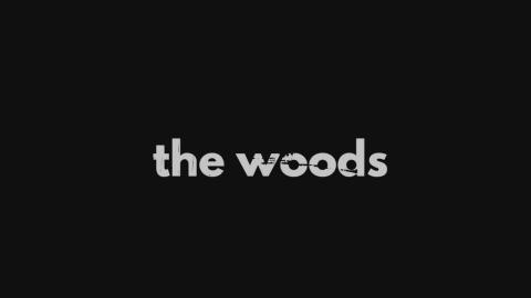 The Woods : Season 1 - Official Intro / Title Card (Netflix' series) (2020)