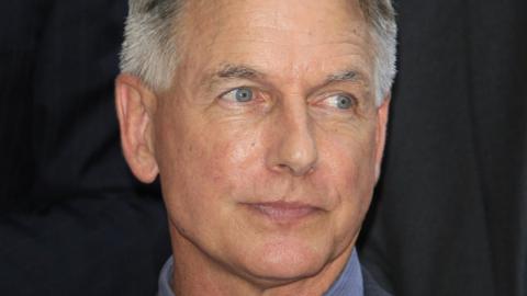 Why The NCIS Creator Was Fired From His Own Show