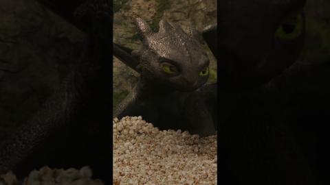 How To Train Your Dragon | Concessions