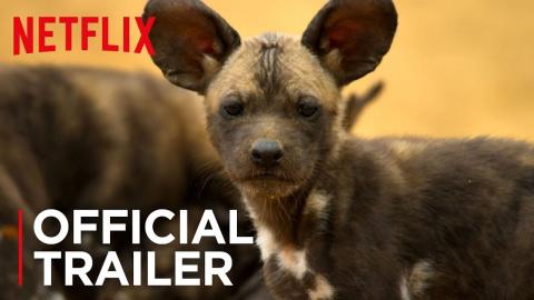 Our Planet | Official Trailer [HD] | Netflix