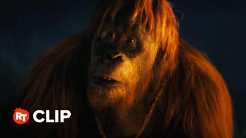 Kingdom of the Planet of the Apes Exclusive Movie Clip - We Will Name Her Nova (2024)