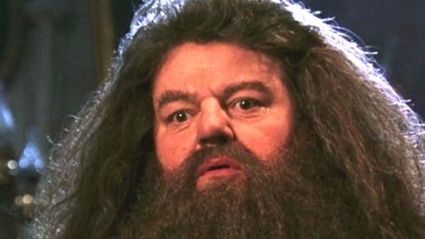 The Harry Potter Cast Confirmed What We All Suspected About Robbie Coltrane's On-Set Behavior