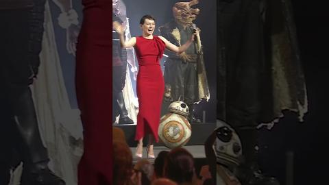 Not saying we manifested #Daisyridley's return to #StarWars, but...???? #shorts #imdb