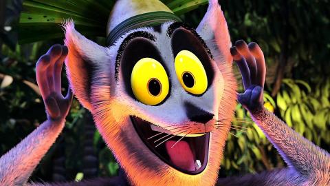 4 Unforgettable Scenes from Madagascar ???? 4K